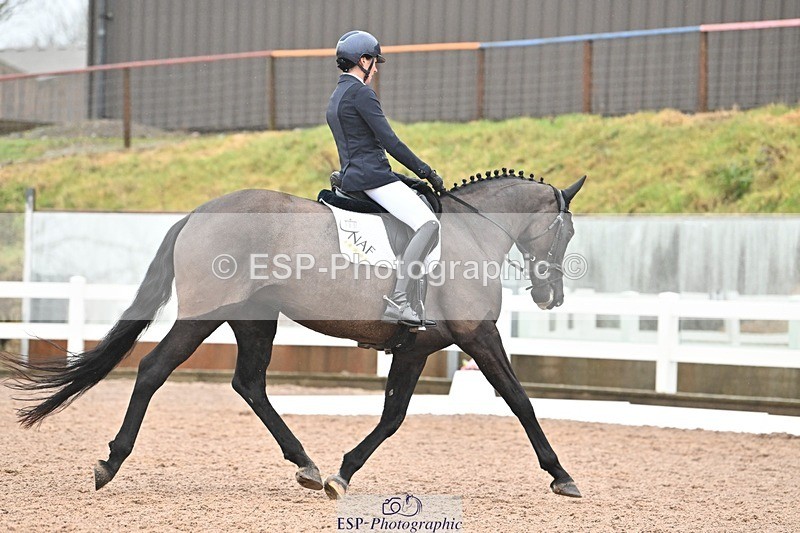 250215-115810-03304 - 165-Elder.Klatzko-Dynasty.Hit