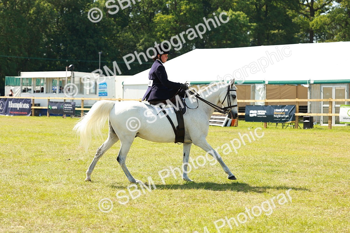 SBM_13355 - Class 70-71 - Side Saddle