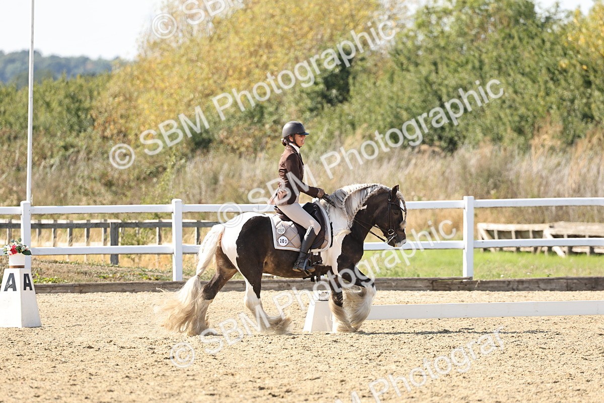SBM_015283 - Class 9 - Advanced medium 3