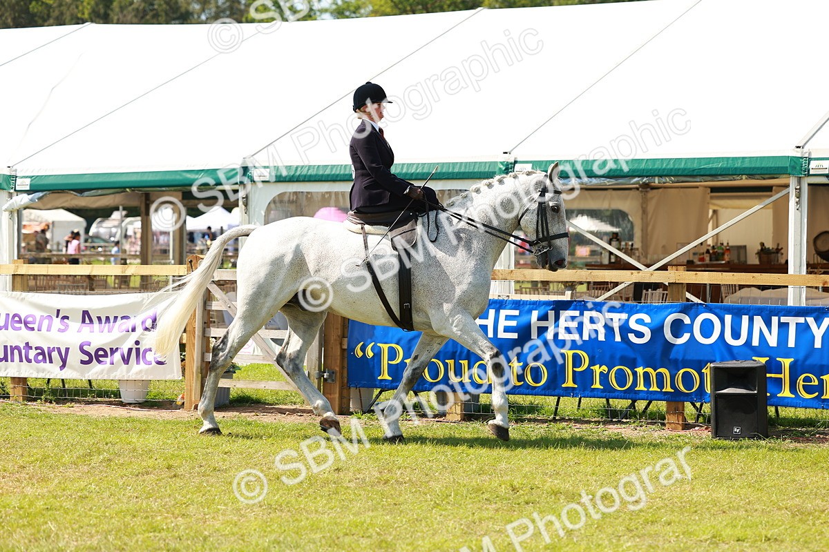 SBM_13311 - Class 70-71 - Side Saddle