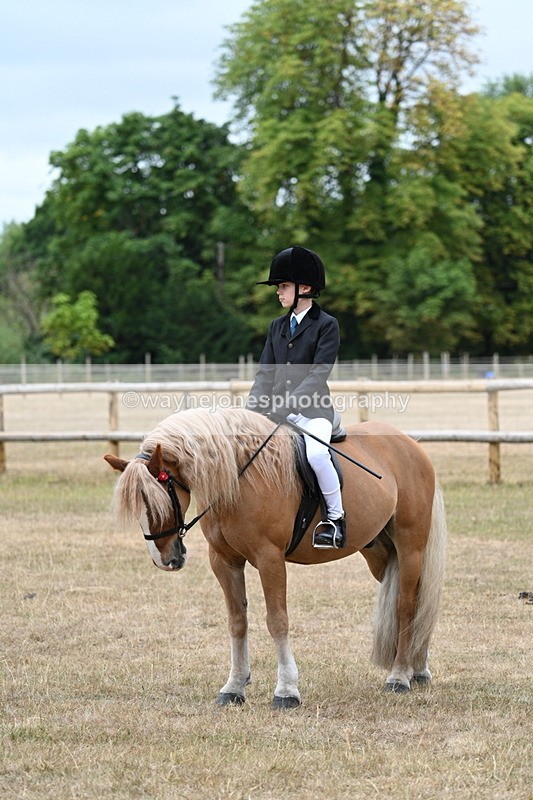 WJ7_7488 - Class 2 Best Rider