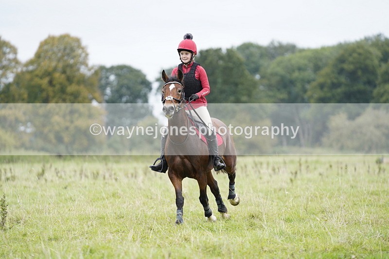 _DSC6588 - Time at Photographer 10:13 to 10:42