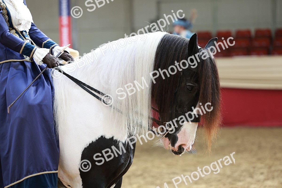 SBM_13727 - Class 106 - Ridden Costume -Astride Adult (15-19)