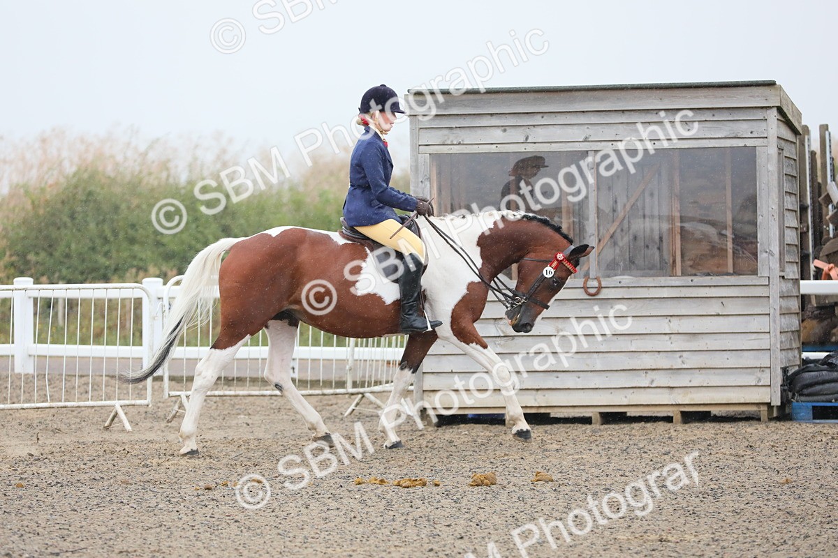 SBM_19859 - Class 801 - Ridden Veteran