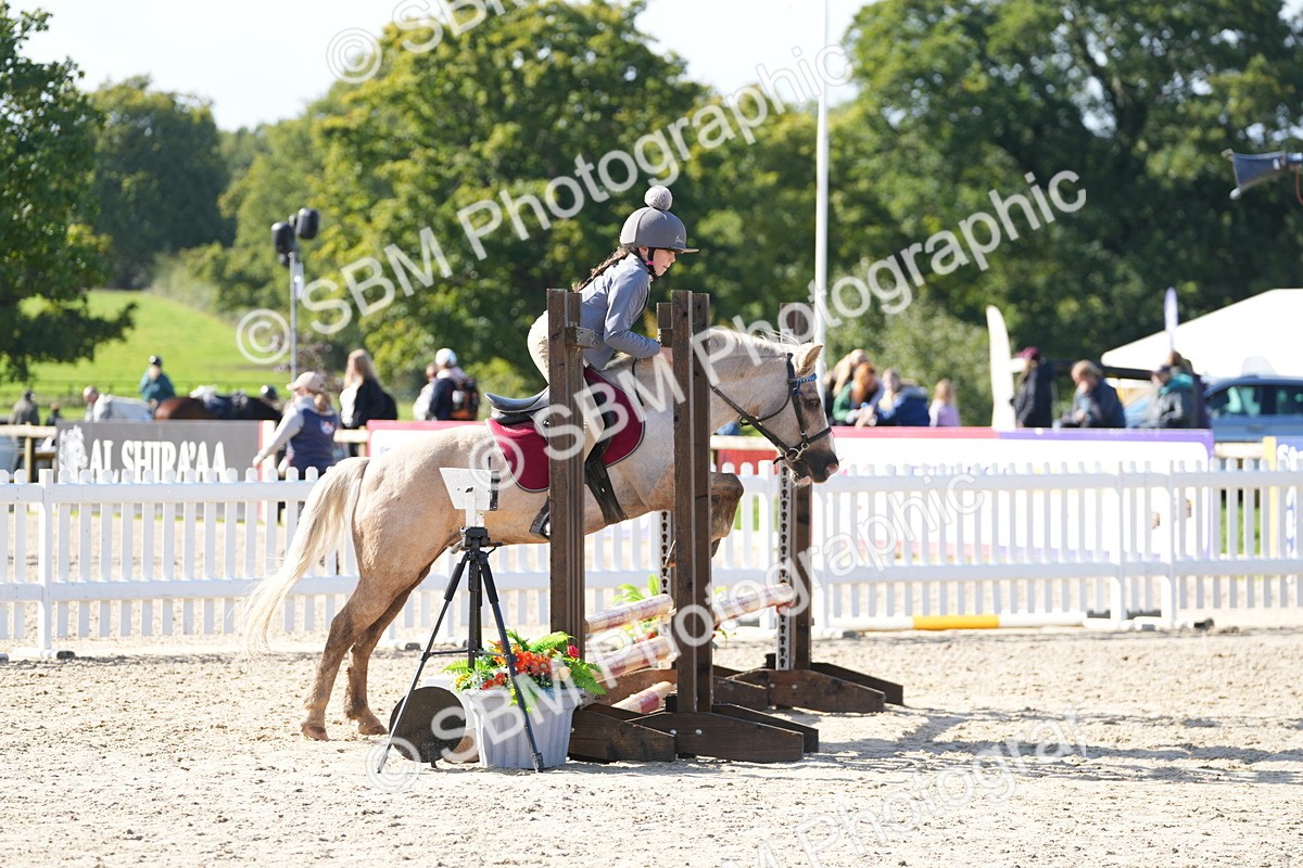 SBM_38305 - J6 - Junior Pony 55cm Championship