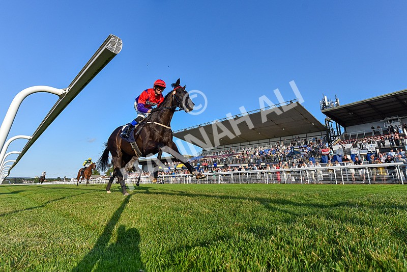 200726-Race 3-It Just Takes Time-3586 - Race 3 19.30pm Skybet Go-Racing-In-Yorkshire Summer Festival Handicap