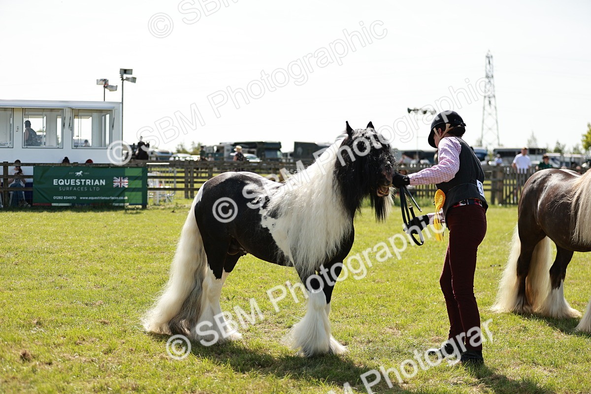SBM_08913