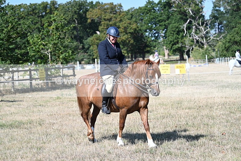 WJ7_3498 - Class 9 Mountain & Moorland Ridden