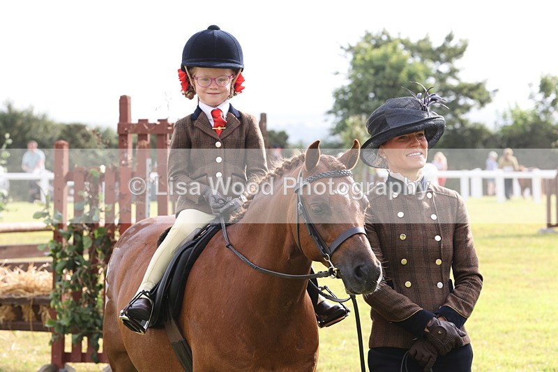 JPP_0329 - Class 14: Cornish Combination Leading Rein