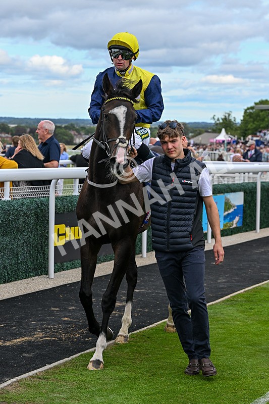 040726-Race 5-Porth Eilian-5017 - Race 5 16.35pm Weatherbys Global Stallions App Coconut Cup Fillies' Handicap