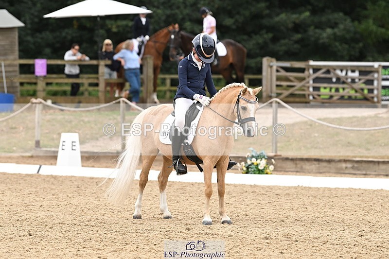 250808A-114520-00690 - 155-Rose.Cassapi-Westfirle.Golden.Oriole