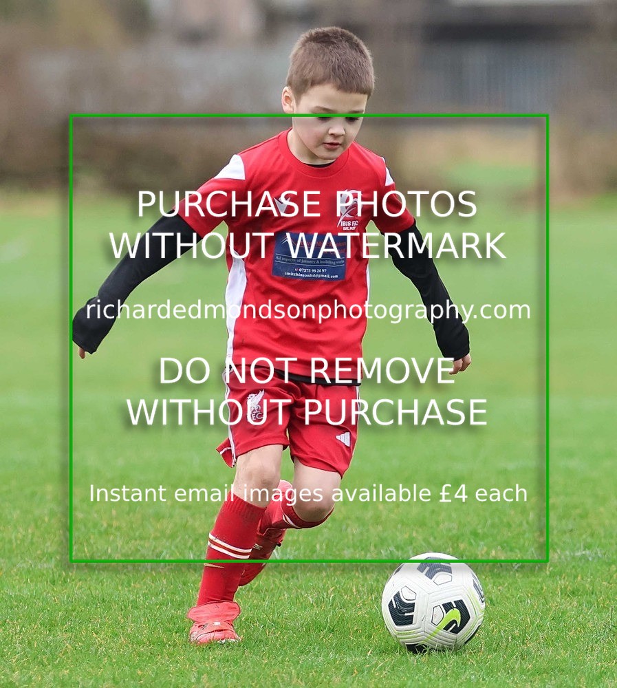 533A0919 - Ibis Under 7's (28/2/26)