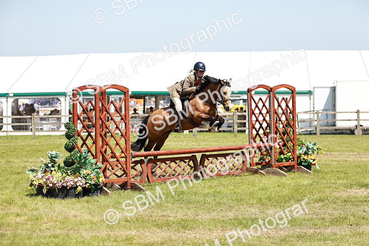 SBM_16341 - Class 110-111 - Training Stakes (70cms 80cms)