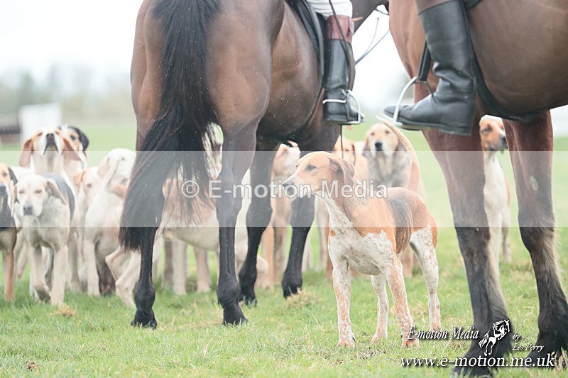 PtP 230324 27 - Tedworth Hunt PtP Larkhill Raccourse 23rd March 2024