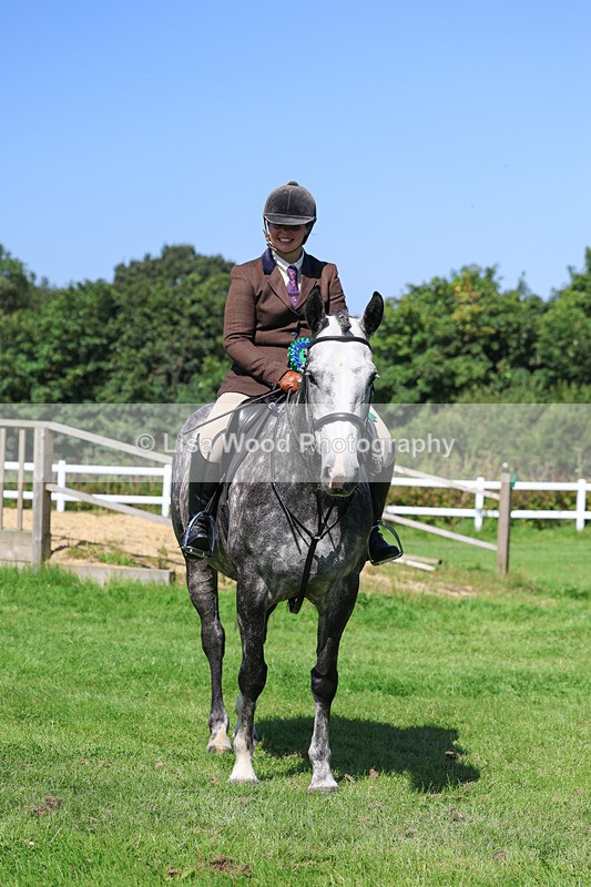 3E7A8515 - Class 4: Novice working Hunter