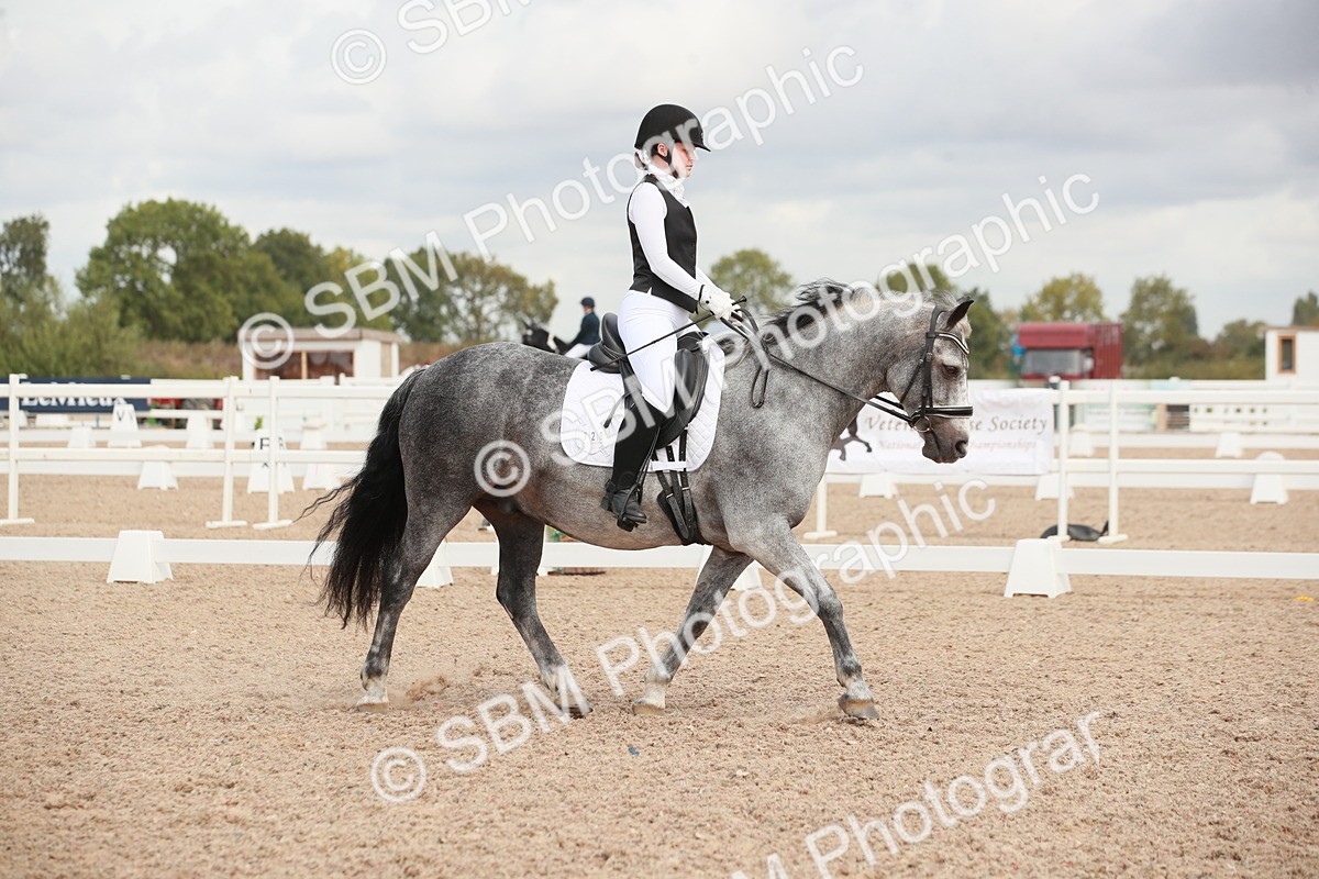 SBM_03933 - Class 31 - Prelim 1