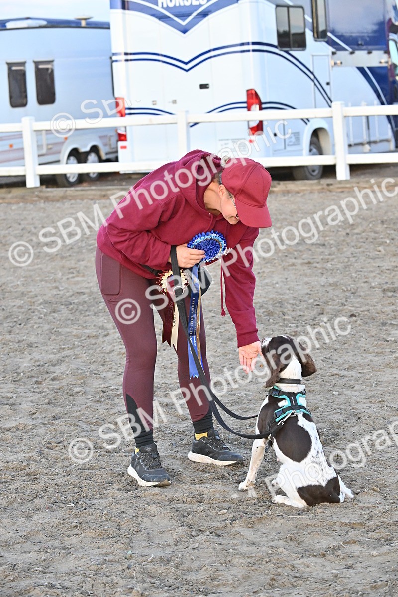 SBM_09725 - Lorry Dogs