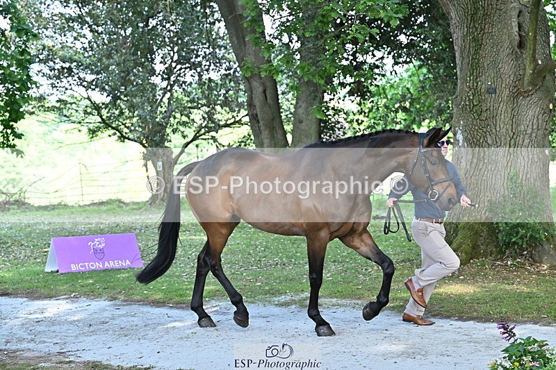250521A-153432-00602 - B-317-Rupert.Batting-COOMBELAND.TALISMAN