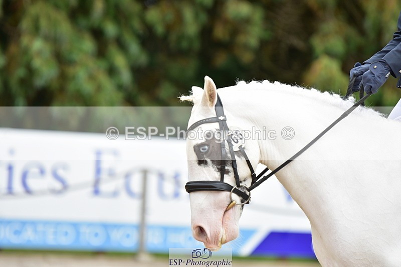 250719A-143724-06311 - 166-Ruby.Vincent-Silver.lining