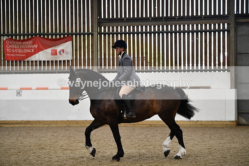 WJ5_7775 - Class 13 Ridden Part Breed