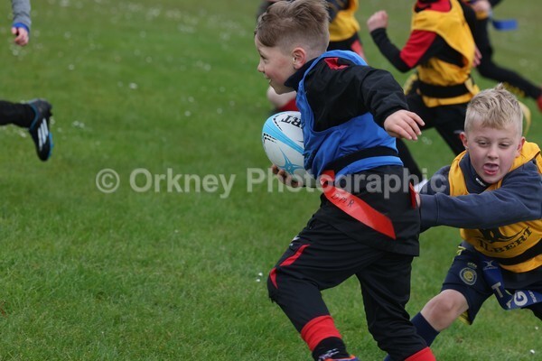 DAD22342 - Rookies/Mini Rugby on 7s Day