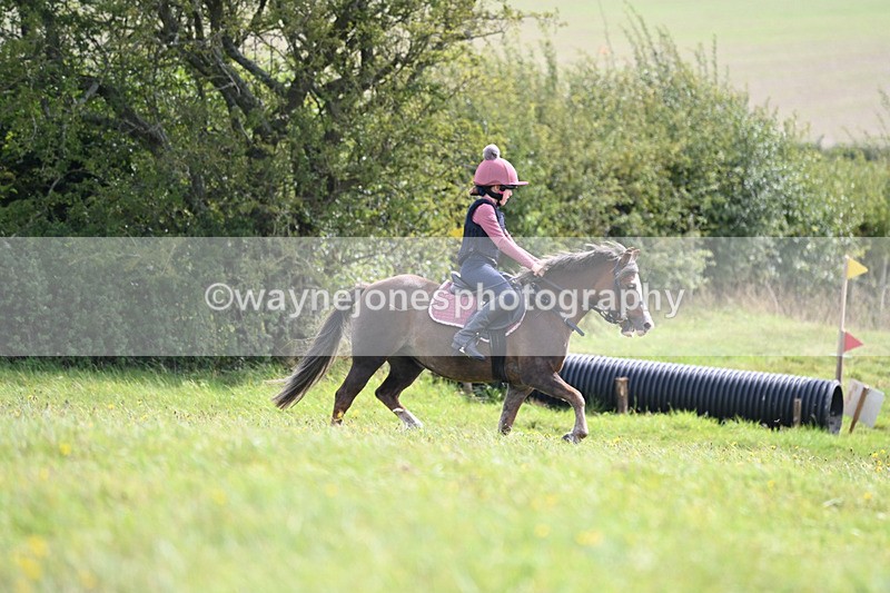 WJ6_8402 - Time 12:18 to 12:59