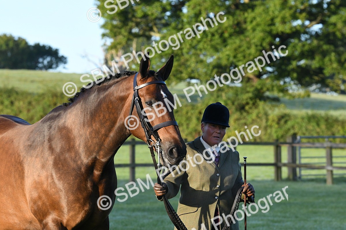 SBM_32479 - S15 - Condition & Turnout In Hand