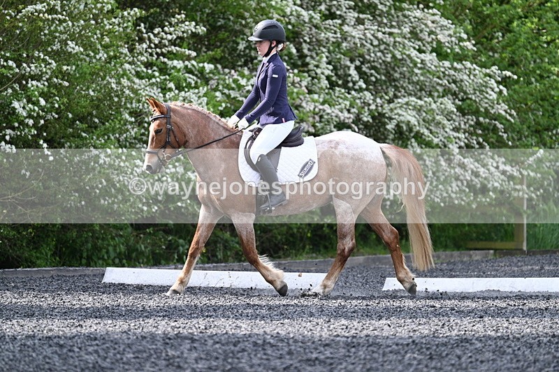 WJ7_8097 - Time 10:11 to 10:27