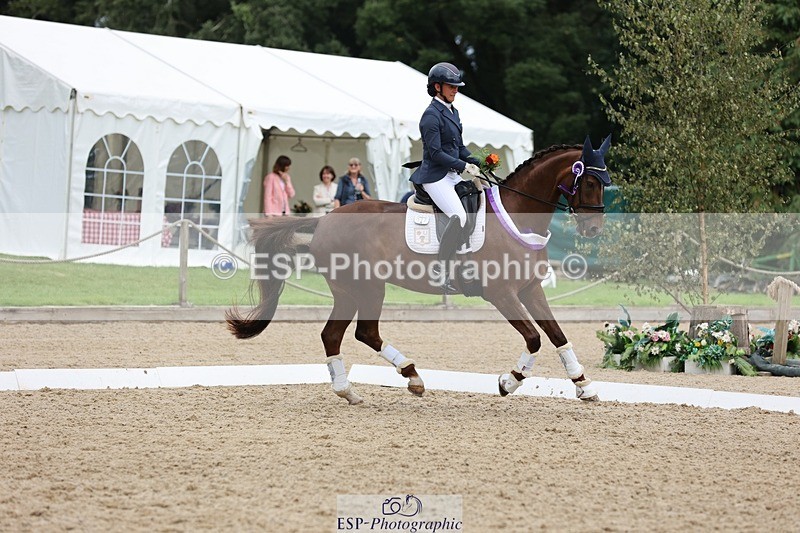 240810-170509-04537 - Elementary Silver