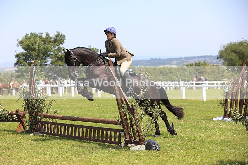 JPP_2536 - Class 21: Working Hunter 60cm