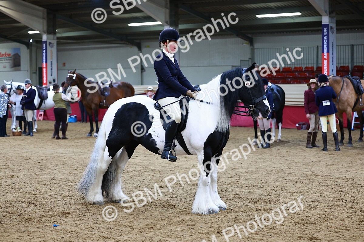 SBM_23458 - class 906 - Supreme Final - Ridden Pre Vet