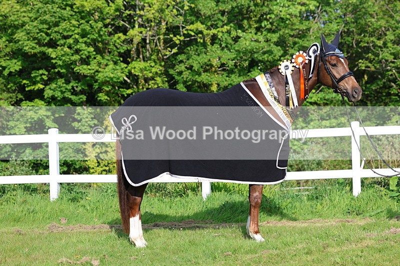 3E7A0289 - Verity Perry
