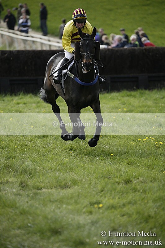PtP 170417 433 - Old Berks Point-to-Point Lockinge 17/04/17