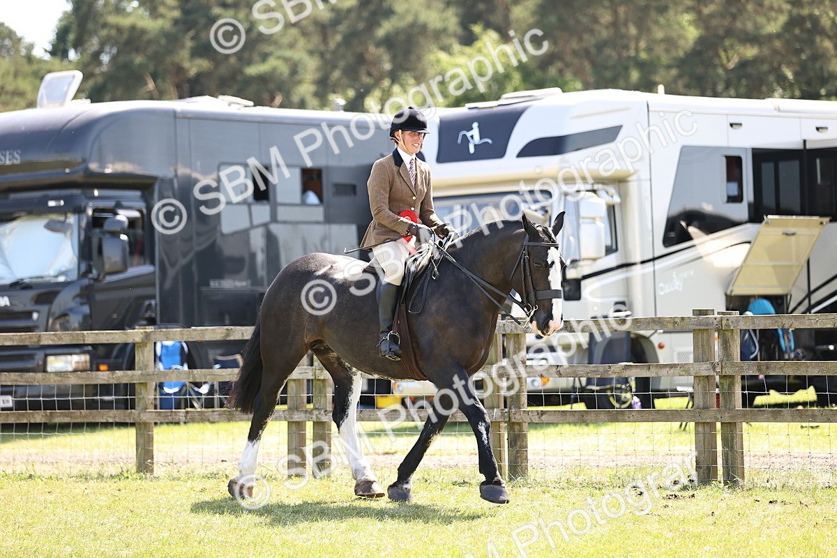 SBM_17954 - Class 81-83 - TSR Ridden Amateur of the Year - Horses