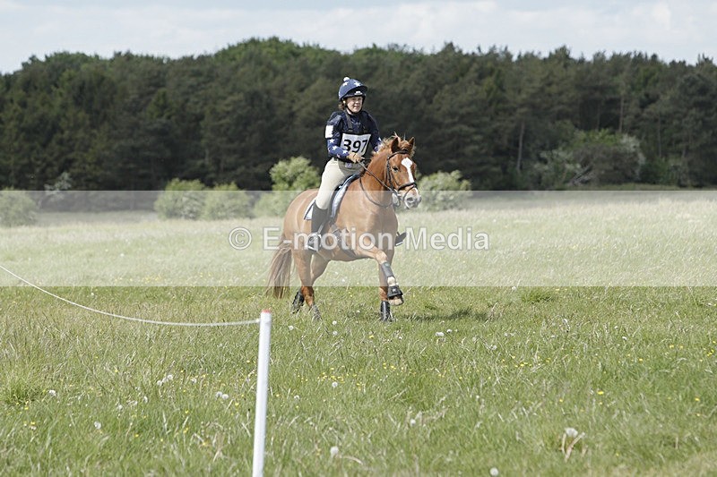 BVHT 140517  NXC -333 - Class 2 XC Novice 14/05/17