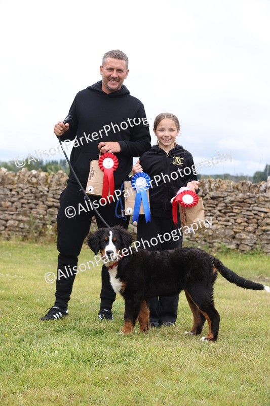 20250607-0442 - Class 11 - Purfect Pup