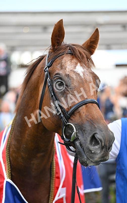 220826-112 Notable Speech - Race 3 15.00pm Sky Bet City Of York Stakes
