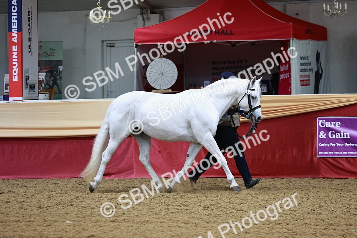 SBM_01145 - Class 3A - Area IH Pre-Vet