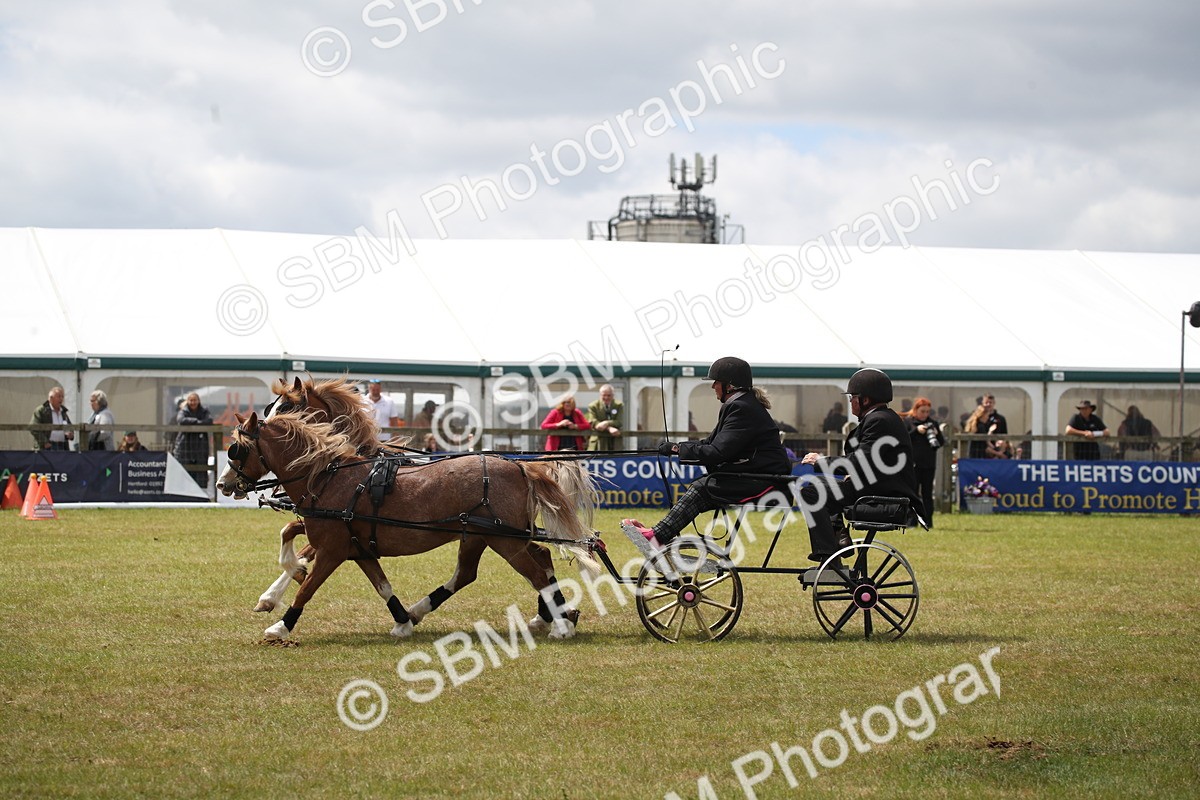 SBM_15502 - Class 90 - Scurry 122cm and Under