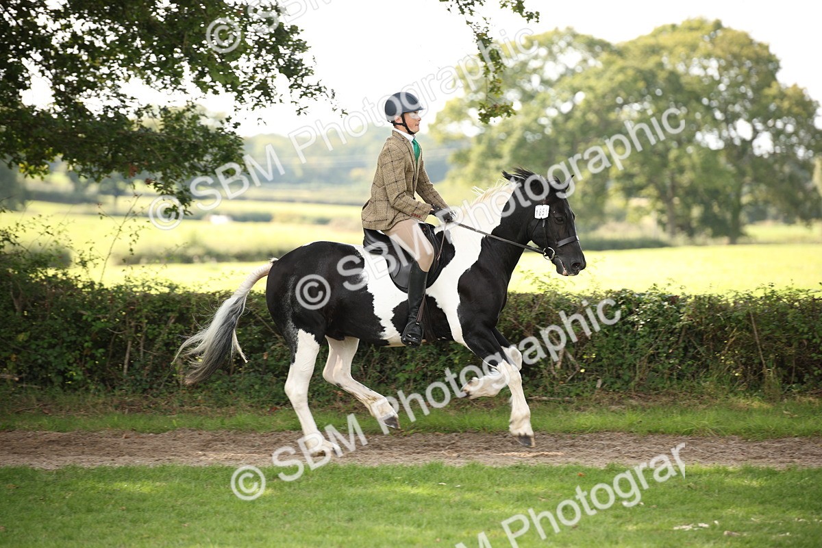 SBM_70084 - S65 - Piebald & Skewbald Horse Ridden
