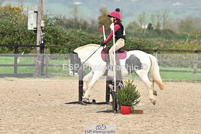 241110-115333-00549 - 50-55cm Arena Eventing