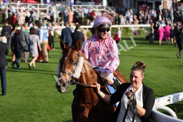 yr08102021r5-15 - Race 5 4.20pm Copper Knight - Winning Most Horse At York Handicap
