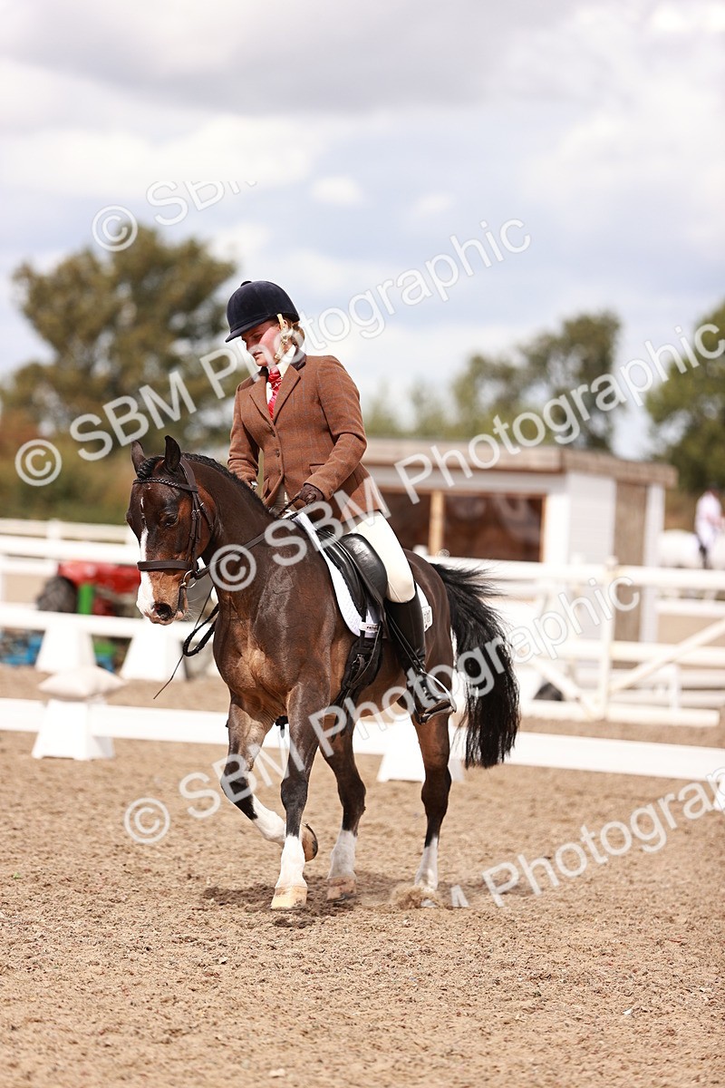 SBM_06232 - Class 37 - Novice 5