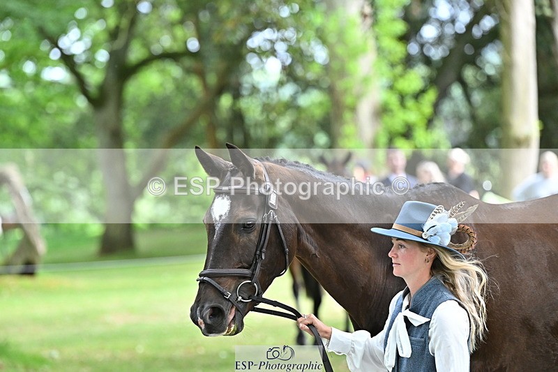 250521A-152128-00447 - B-379-Kelli.Frewin-HIDDEN.GOLD