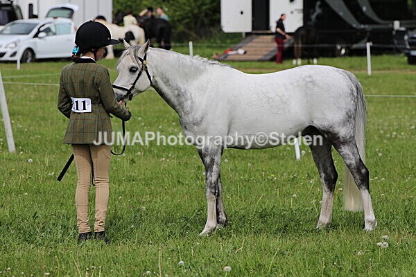 SIAL3200 - Ring 3 and 4