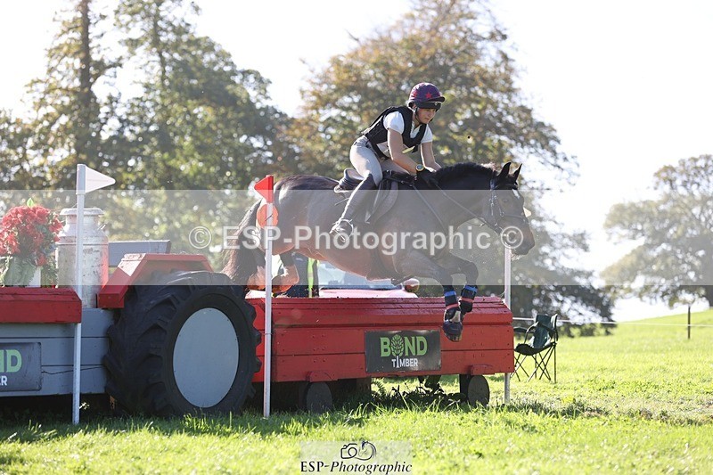 241026-123529-13704 - 441-Molly.Swain-SOCKS