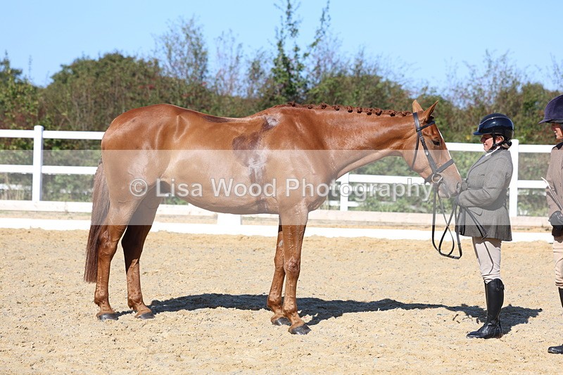 3E7A5588 - Class 9: Open Ridden Hunter