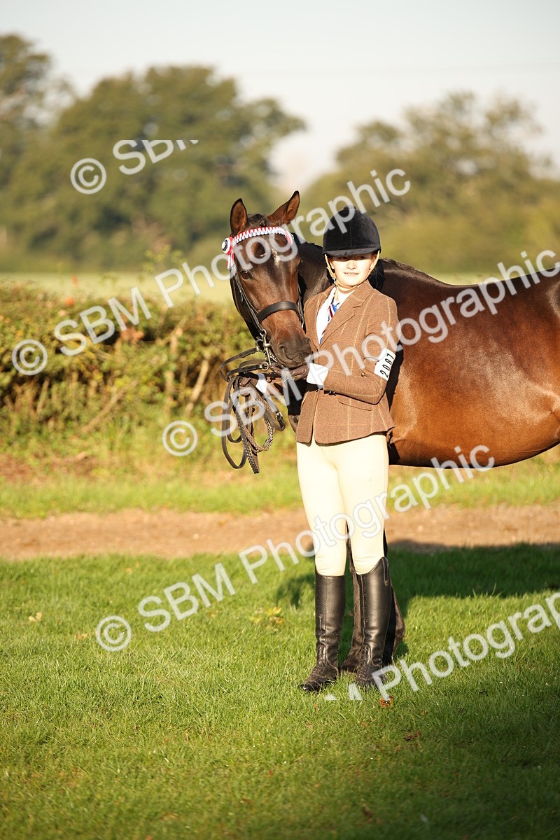 SBM_56925 - S49 - Riding Horse & Hack & Thoroughbred In Hand