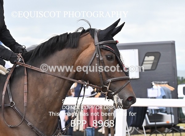 BPP_8968 - CLASS 20 SAT GFS Saddles Senior Newcomers/1.10m Open