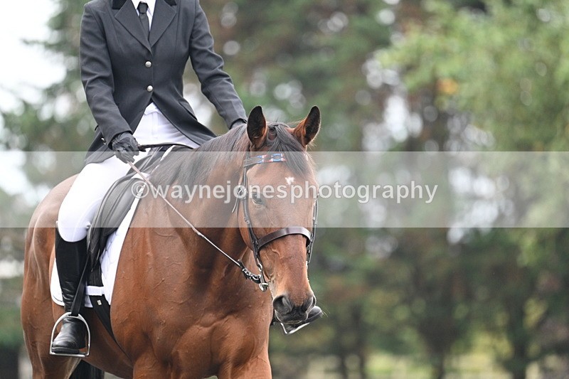 WJ7_2763 - Time 09:00 to 09:35